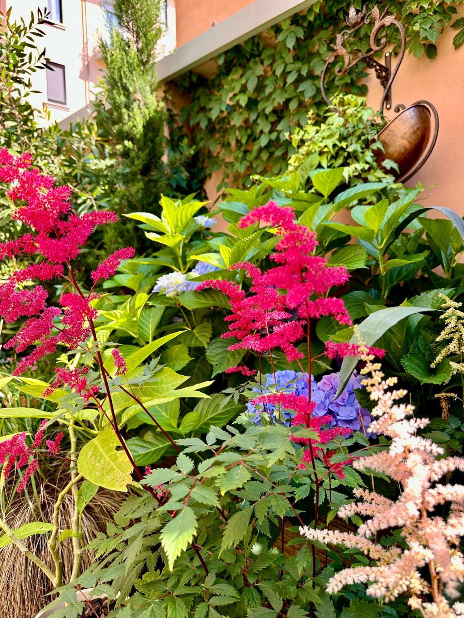 Fontana 16 Rooms Milan Exterior photo